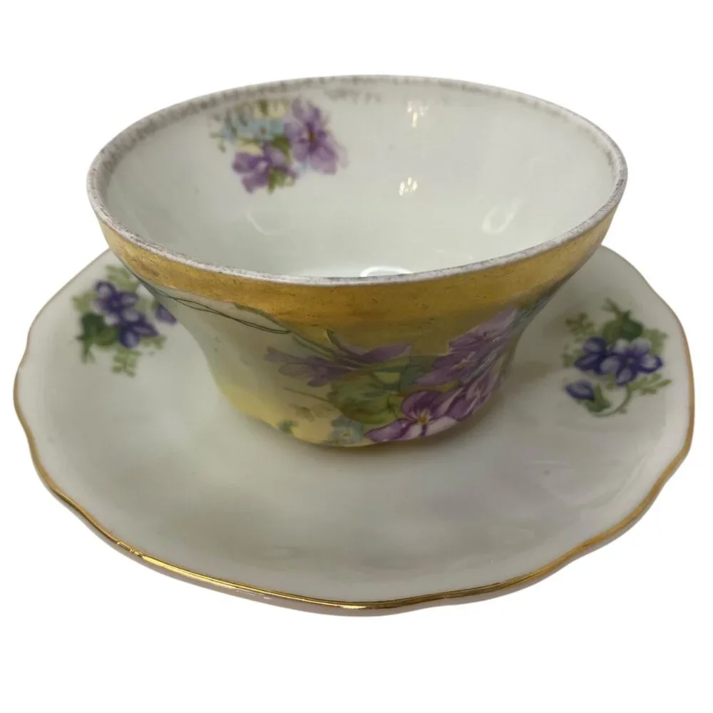 Vintage Imperial Austria Porcelain Tea Cup Japan Saucer Purple‎ Floral Gold